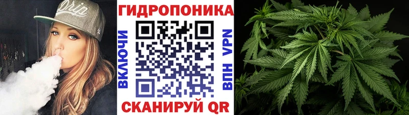 Хочу наркоту Заводоуковск Псилоцибиновые грибы  АМФЕТАМИН  ГАШ  Cocaine  МДМА  Бошки Шишки 