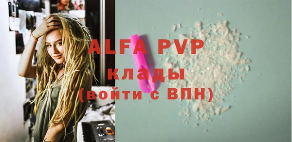 гидра Елабуга