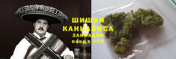 гидра Елабуга