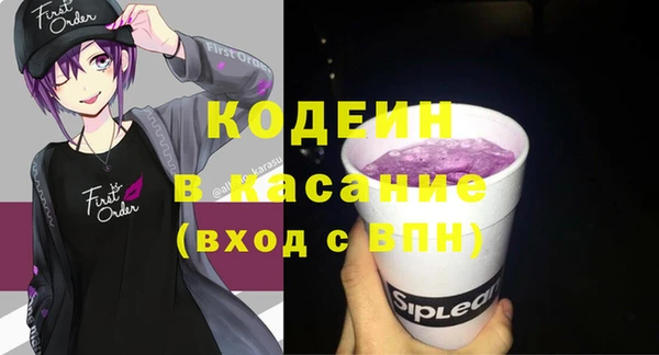 гидра Елабуга