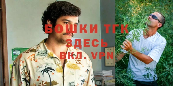 гидра Елабуга
