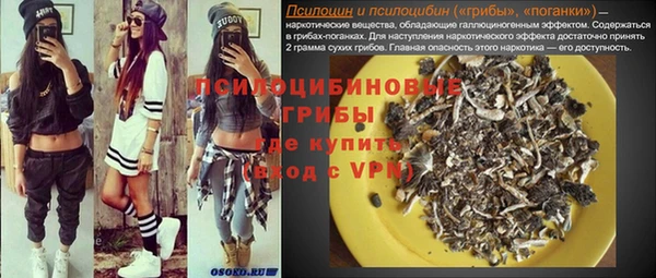 гидра Елабуга