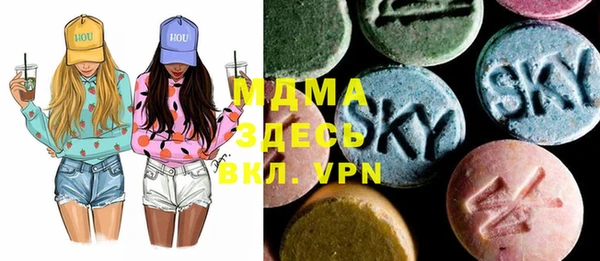 гидра Елабуга