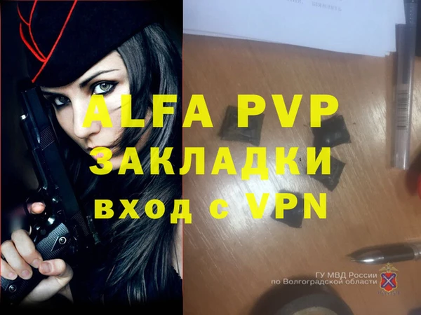 гидра Елабуга
