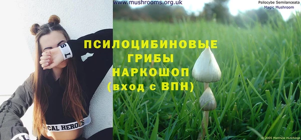 гидра Елабуга