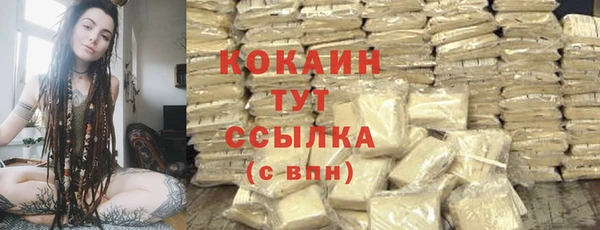 гидра Елабуга