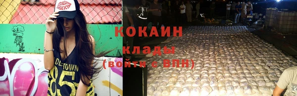 гидра Елабуга