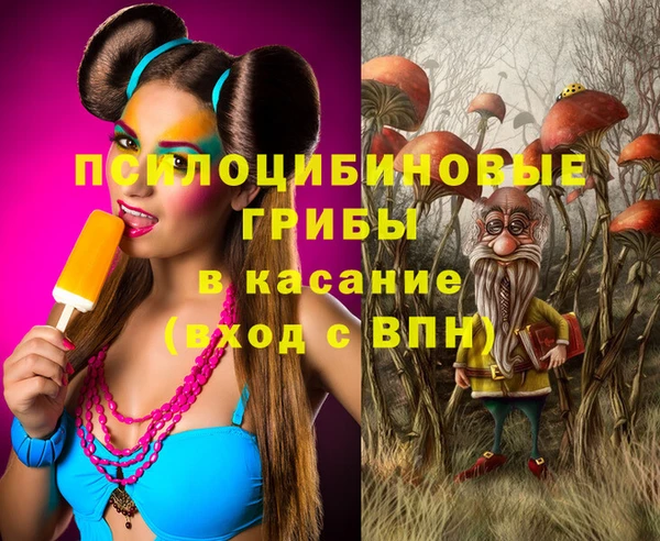 гидра Елабуга