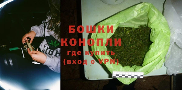 гидра Елабуга